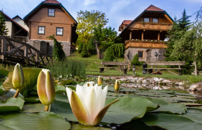 Apartments and wellness center Korošec - Foto 1