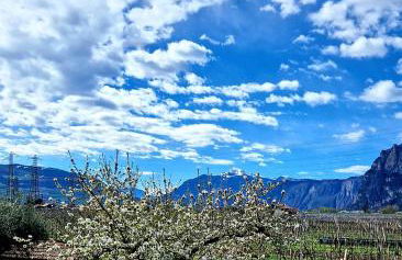 Antico Fienile Agritur - Photo 3