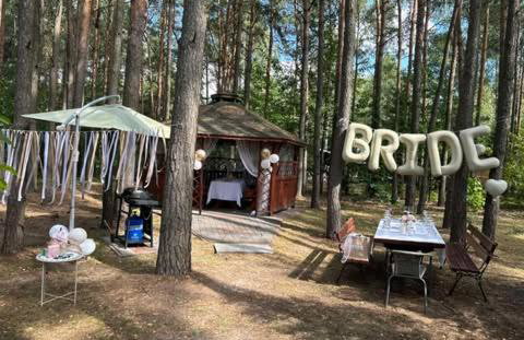 Brzozowy zakątek - Foto 41