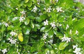 Gîte LES CHANTS DU CREPUSCULE - Foto 53