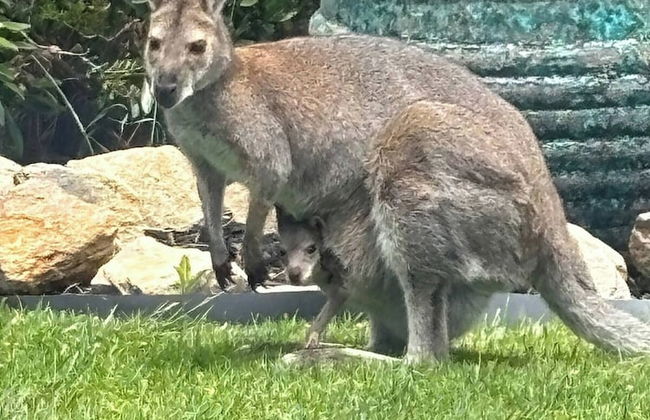 Fairhaven Beach House With Ocean Views and Tranquil Setting - Foto 33