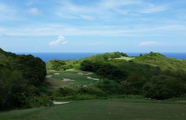 Ocho Rios Villa at Coolshade VI - Photo 24