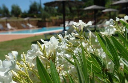 Piè di Costa - Foto 39