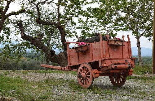 Agriturismo La Posta Reale - Foto 91