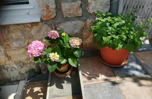 Apartment Neno - Terrace & Parking - Foto 37