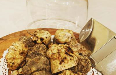 Mongalletto - Foto 28