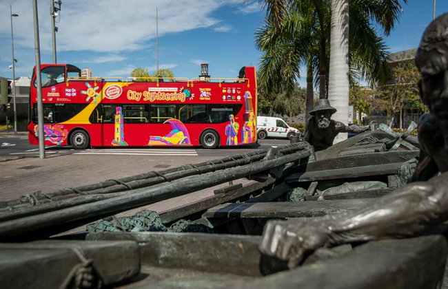 Visite de la ville Santa Cruz de Tenerife - Circuit en bus à arrêts multiples - Photo 12