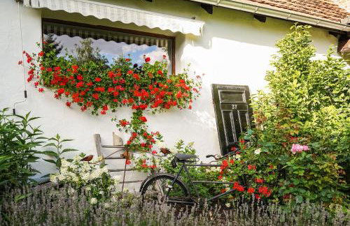 Grand House 47 - Foto 12