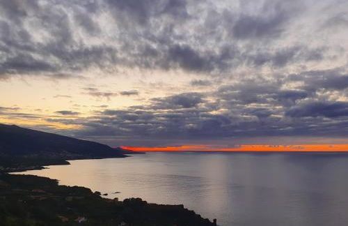 Terra`s Place - Photo 24