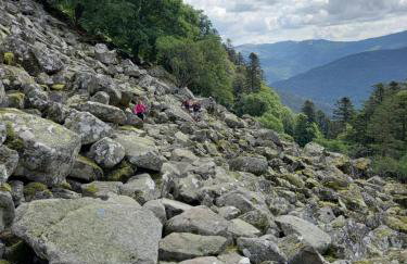 Maison proche du centre de Colmar - Chez Michel - Foto 23