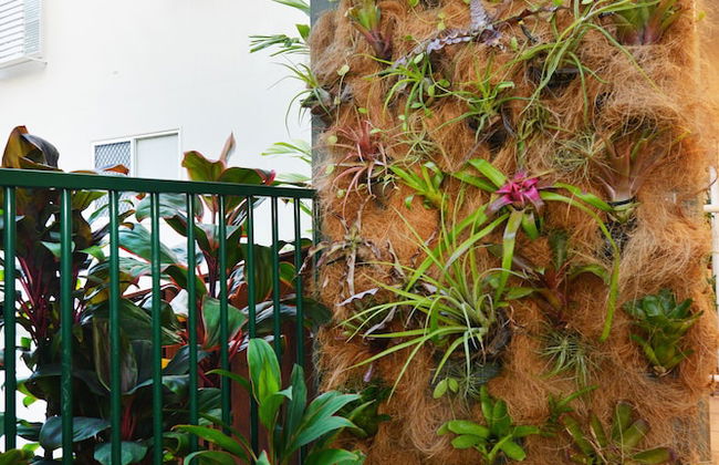 Port Douglas Apartments - Adults Only Oasis - Foto 65