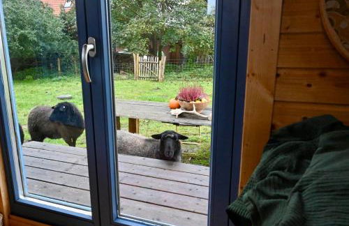 Autarker Schäferwagen mit Kamin ganzjährig nutzbar - Foto 7