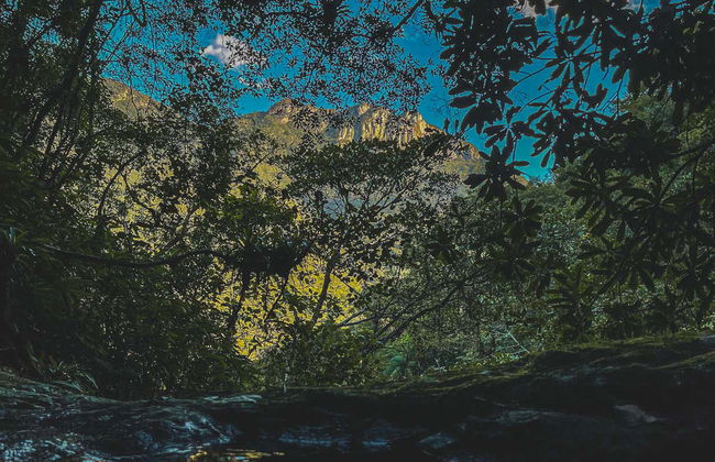 Rápel en las cascadas de Praia Grande - Foto 7