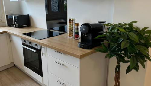 PARIS-MONTROUGE Magnifique Appartement 2 pièce de 36m2 - très cosy pour 1 à 5 personnes refait à neuf - ENTIRE APARTMENT LUXIRIOUS AND WARM - Montrouge Paris 14ème - Proche Aéroport Orly & Parc Expositions Porte de Versailles FREE WIFI GRATUIT - Foto 5, stove, dishwasher, toaster