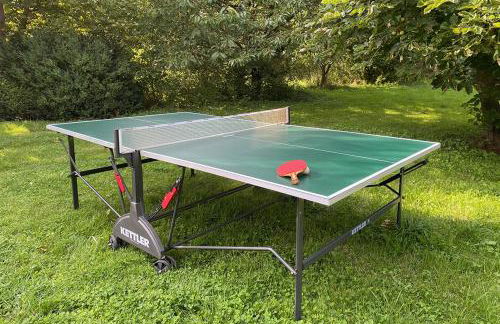 Ferienhof Rauchhaus - Foto 69