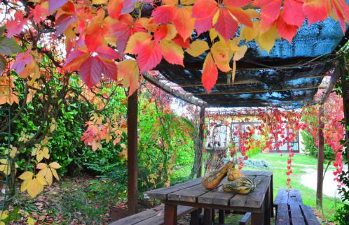 Country House Nonna Rana - Foto 105