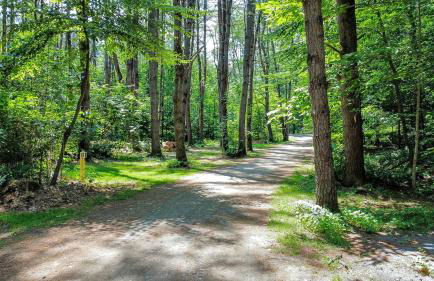 Rustic, Pet Friendly Cabin on the Hudson River, Perfect for a Glamping Weekend in the Adirondacks - Foto 32