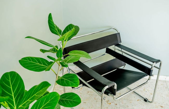 w Cozy 1BR in Casco Antiguo - Photo 17