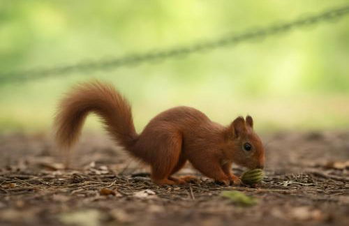 Château des Princes " Calme et sérénité au cœur de Sedan " - Foto 15