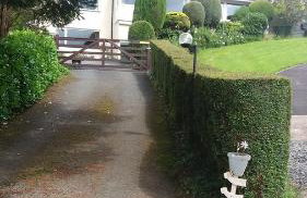 Little Burbank - Foto 9