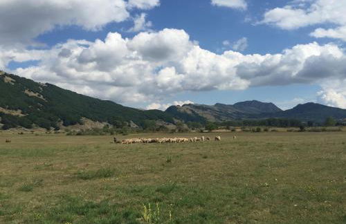 Appartamento Arnolucci - Foto 14