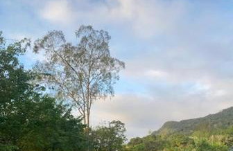 Rancho Refugio Verde AL - Foto 24