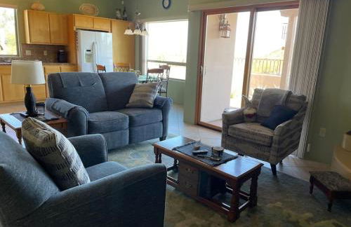 Tucson Mnt Foothills Saguaro Bliss - Foto 4