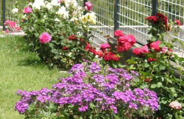 Orfeas -Vacation Home - Foto 20