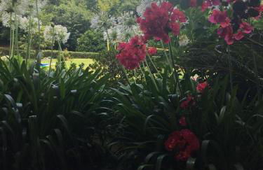 Green Villa Gerês - Foto 8