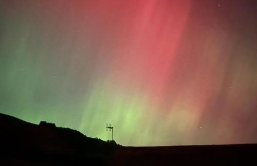 Barcud Coch - Uk44539 - Foto 35