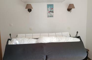 Studio Cabine RDC Pied des Pistes - Foto 13