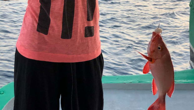 Uno dei bottini di pesca