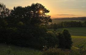 Ferienwohnung-Orth-Tor-zum-Sauerland-mit-grosser-Terrasse - Foto 17
