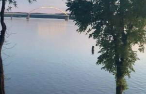 Inmerse in the Serenity of this Lakefront Cottage in Cadiz, Kentucky - Foto 41