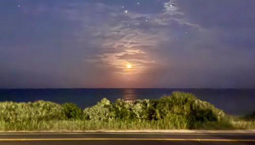 The C House - Foto 5