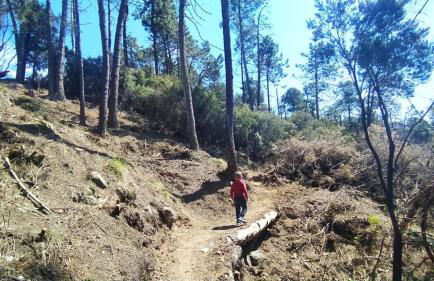 La Calla Rossa - Foto 8