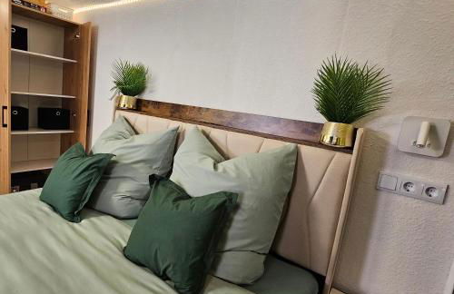 Grünhäuschen im Erzgebirge, 620 m üdM - Foto 5