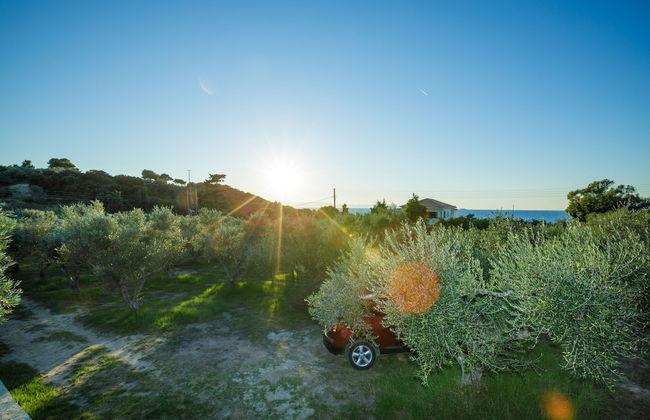 Kastro Kyllini - Photo 28