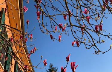 Basilico Apartment with stunnung views - Foto 13