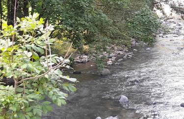 Le Ratty appartement 8 personnes - Foto 34