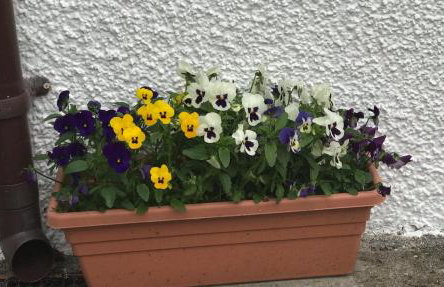 Painter's House - Foto 23