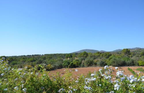 Finca Son Blat - Photo 9