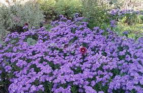 Casa Di Cinti - Foto 24