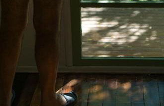 Alugo minha casa na floresta! - Foto 44