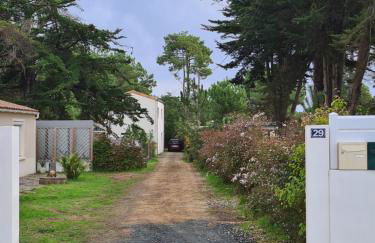 LES EMBRUNS - Photo 2