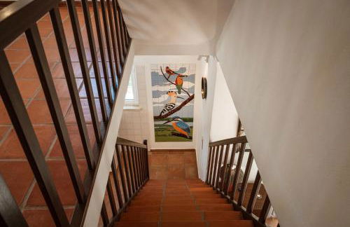 Casa do Magoito - Photo 4