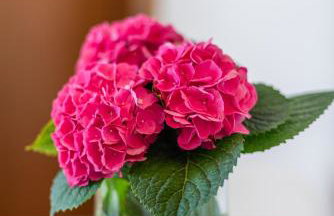 B&A - Center of Split - Foto 9