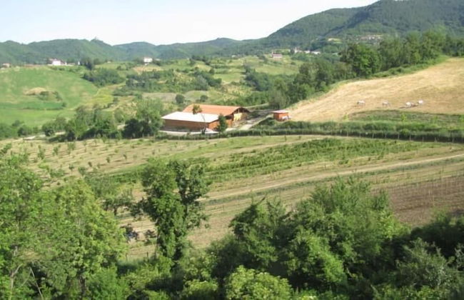 Agriturismo Ca' De Figo - Foto 32