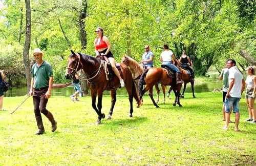 La Regina del Bosco - Foto 6