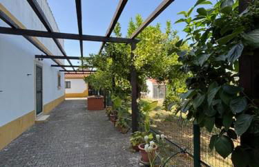 Quinta do Avô - Foto 20